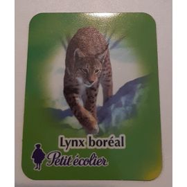 Le Lynx Boreal Au Meilleur Prix Neuf Et Occasion Rakuten