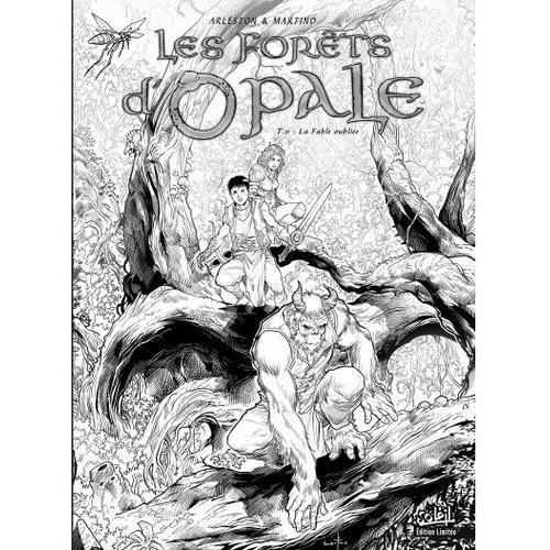 Forêts D'opale (Les) Tome 11 : La Fable Oubliée