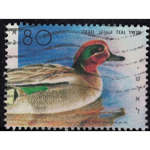 Israël 1989 Oblitéré Used Oiseau Canard Anas Crecca Sarcelle D'hiver Su