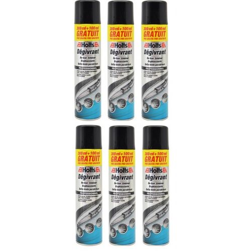 Lot De 6 Dégivrants Holts 300ml + 100 Ml Gratuits