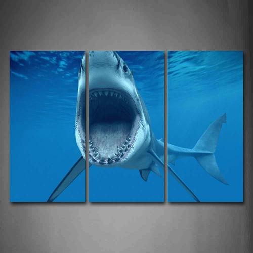 16x32 inch - Requin Bouche Ouverte Tableau Toile Mer Bleue Salle de Bains Peinture Murale Cadre 3 Pièces Moderne La Vie Marine Art Poster Decoration pour Le Maison,Salon,Chambre,Cuisine