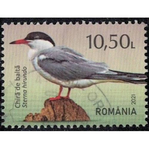 Roumanie 2021 Oblitéré Used Oiseau Sterna Hirundo Sterne Pierregarin Y&t Ro 6679 Su