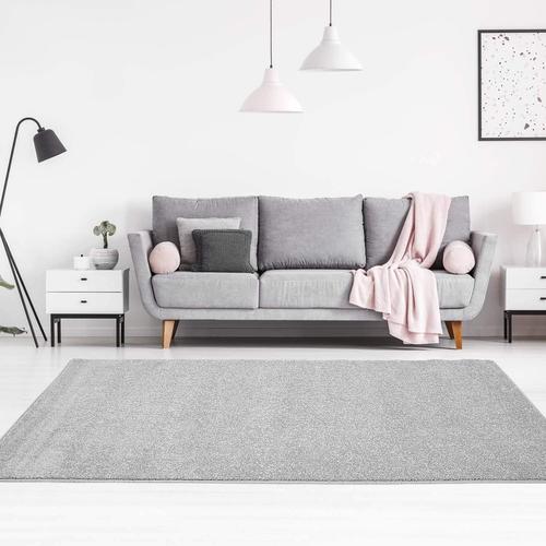 Tapis Uni Flat For Soft & Shiny En Gris/Argenté Pour Salon Dimensions : 120 X 160 Cm, 120 X 160 Cm