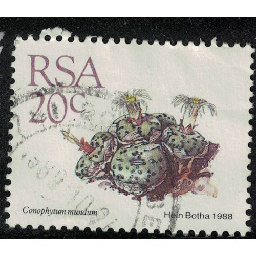 Afrique Du Sud 1988 Oblitéré Used Plante Succulente Conophytum Mundum Su