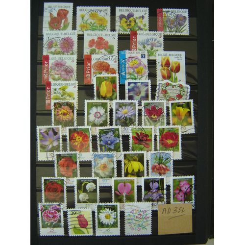 Ad 351*Lot Timbres Obliteres Fleurs *Allemagne*Usa*Belgique