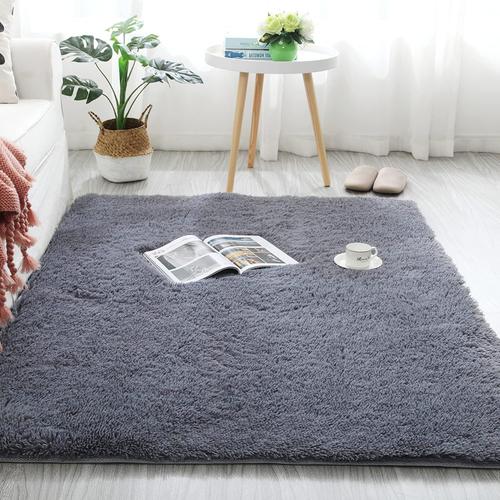 Tapis À Poils Longs Pour Salon,Chambre D'enfant,Grande Taille Tapis Poils Longs,Tapis Doux Et Moelleux Pour La Chambre À Coucher(Gris Argent,200 X 300 Cm)