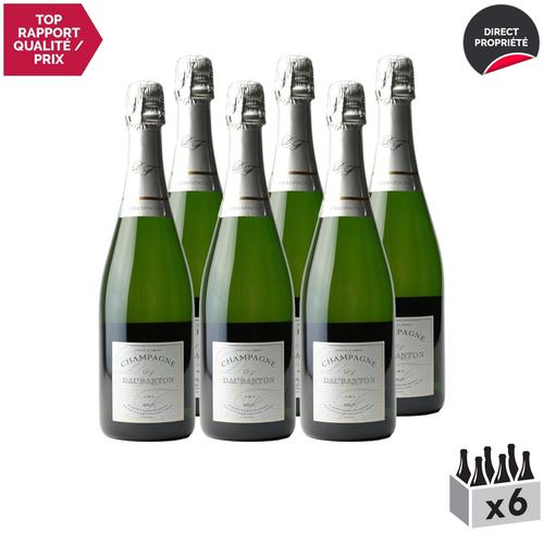 Daubanton Champagne Brut Tradition Blanc X6