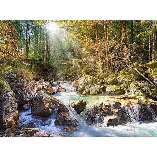 Puzzle 2000 Pièces Le Ruisseau De La Forêt