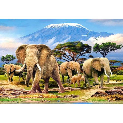 Puzzle 1000 Pièces Kilimanjaro Morning