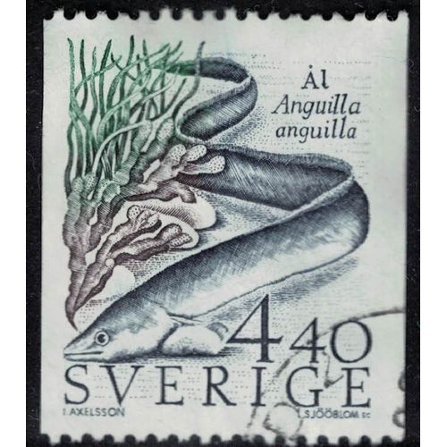 Suède 1988 Oblitéré Used Animal Poisson Anguilla Anguilla Anguille D'europe Su