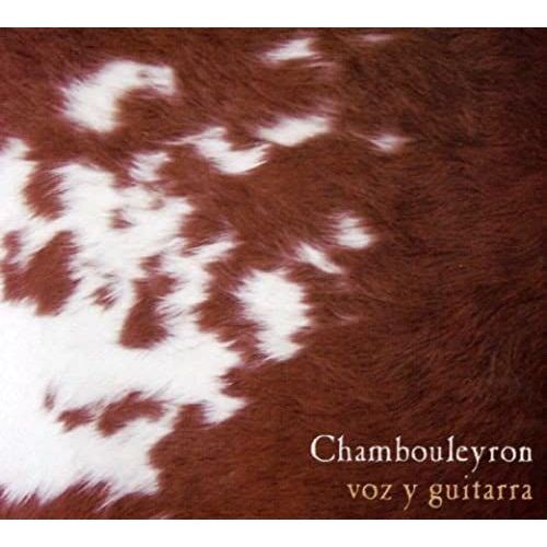 Voz Y Guitarra