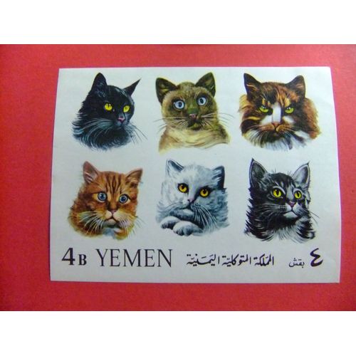 46 Yemen 1965 /Cats Chats / Yvert Bloc 26 ** Mnh Non-Dentelé