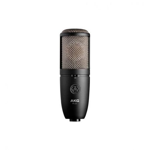 AKG - P420