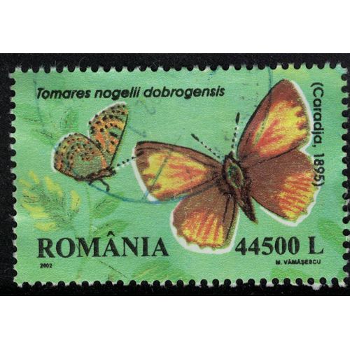 Roumanie 2002 Oblitéré Used Papillon Tomares Nogelli Faux Cuivré De L'astragale Su
