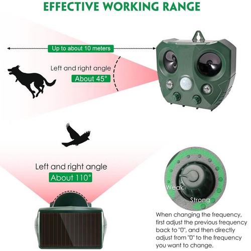 Répulsif Ultrason Solaire avec Capteur PIR Lampe Flash à LED activé par Le  Mouvement | Hibou Anti Pigeons Protecteur de Jardin