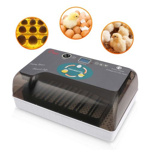 Couveuse Automatique Oeuf Couveuse Incubateur, Affichage Numérique, Contrôle De La Température Avec Led Lumière D'oeuf Intégré ,Très Adapté À L'enseignement À Domicile / À L'école