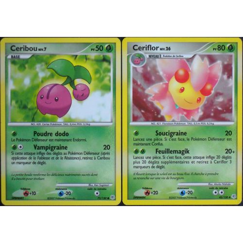 Diamant & Perle - Ceribou (75) + Ceriflor (45/130)