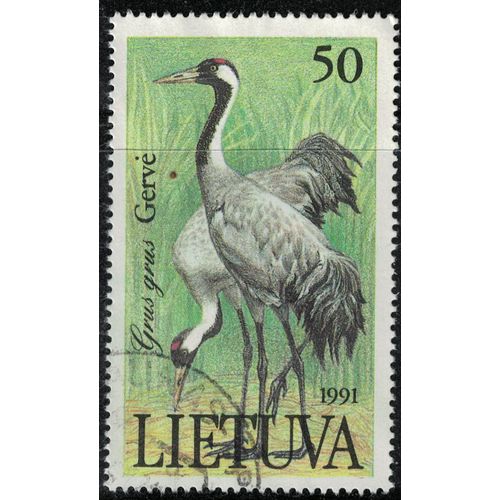 Lituanie 1991 Oblitéré Used Bird Oiseau Grus Grus Grue Cendrée Su