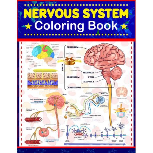 Nervous System Coloring Book: Learn The Basic Anatomy Of The Nervous System. Great Body System Anatomy Book For Kids Adults Teens And Medical Students.