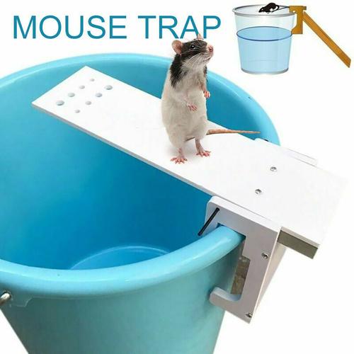 Piège à rats pour le jardin Bricolage piège à rats piège à souris