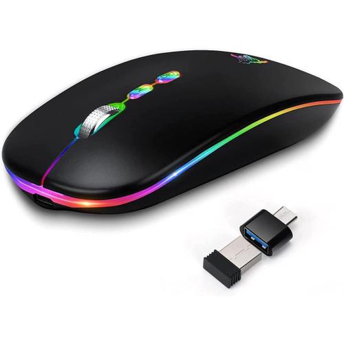 Souris Bluetooth iPad, RGB Souris sans Fil Rechargeable, avec Récepteur USB, Silencieuse, BT 5.1+2.4G Deux Modes Disponibles, 1000-1600 DPI Réglable pour Mac OS/Windows/Andriod/Microsoft