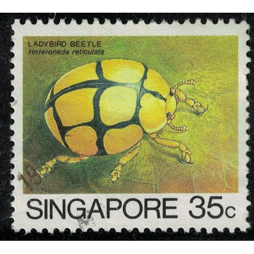 Singapour Oblitéré Used Insecte Heteroneda Reticulata Ladybird Beetle Su