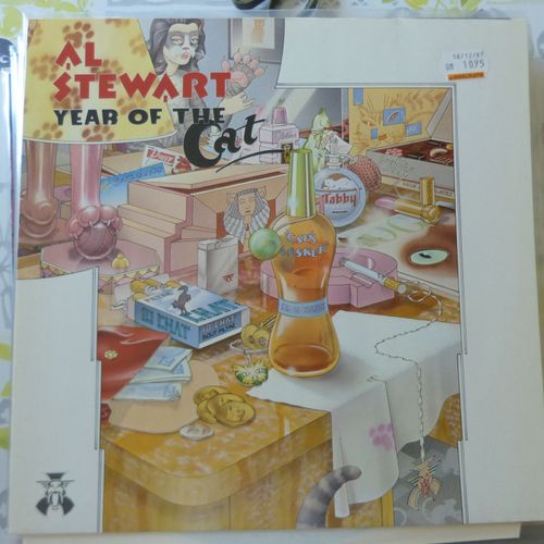 Year Of The Cat