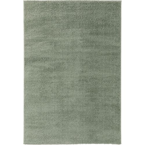 Tapis Shaggy À Poils Longs Soda Vert Clair 120x170 Cm - Tapis Doux Pour Salon