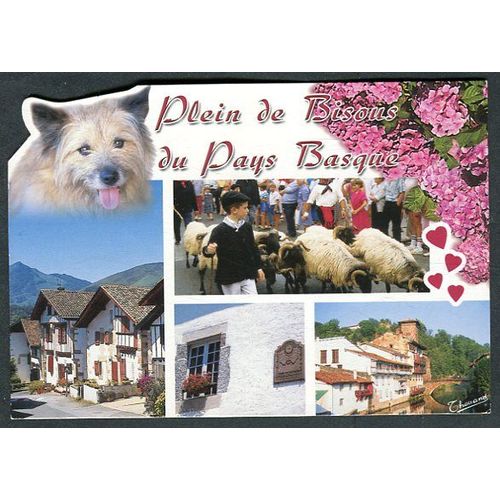 Carte Postale - Plein De Bisous Du Pays Basque - St Jean Pied De Port - Pyrénées-Atlantiques - 64