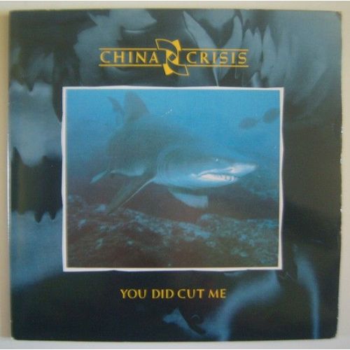 You Did Cut Me (2 X 7" Single Ltd)