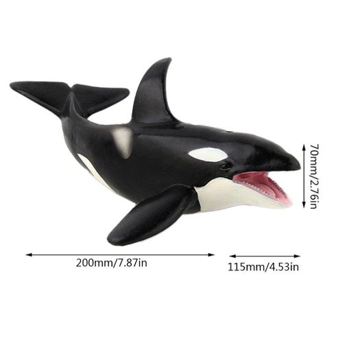 Simulation De La Vie Marine Pour Enfants, Modèle Du Monde Sous-Marin, Requin Blanc Creux, Dent Géante, Jouet, Ornements, Cadeau D'Anniversaire