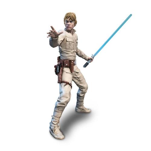 Star Wars Episode 1 Star Wars The Black Series - Hyperreal Luke Skywalker, Figurine Articulée