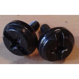 2 Vis Têtes Cylindrique ⌀12mm Cruciformes/Plat Noires L.15mm Diamètre 3mm Filetage 10mm