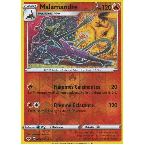Pokémon - 28-R/202 - Malamandre - Reverse