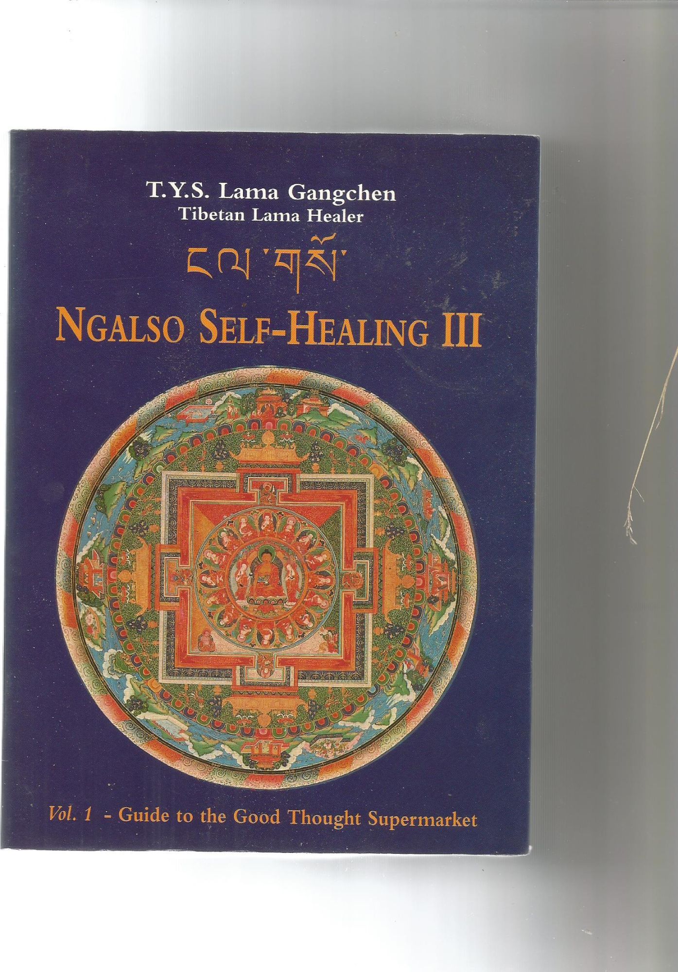 Ngalso Self-Healing Iii