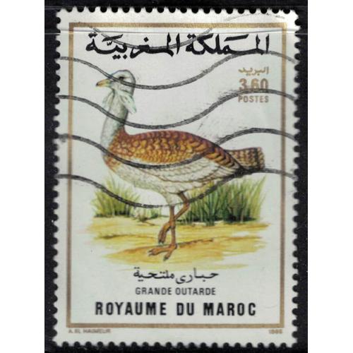 Maroc 1988 Oblitéré Used Oiseau Otis Tarda Grande Outarde Su