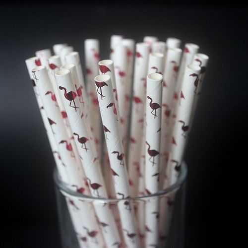 Xm Pailles D'abricot Pailles En Papier Flamand Rose Pailles À Boire Tubes À Boire Fournitures De Fête Décoration Réception-Cadeau Pour Bébé 25 Pièces/Lot