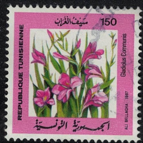 Tunisie 1987 Oblitéré Used Glaïeul Oriental Fleurs Gladiolus Communis Peinture Ali Bellagha Su