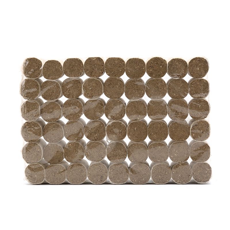 Xm 54 Pices Trois Ans Pur Moxa Moxibustion Pour L'acupunctu... - 2