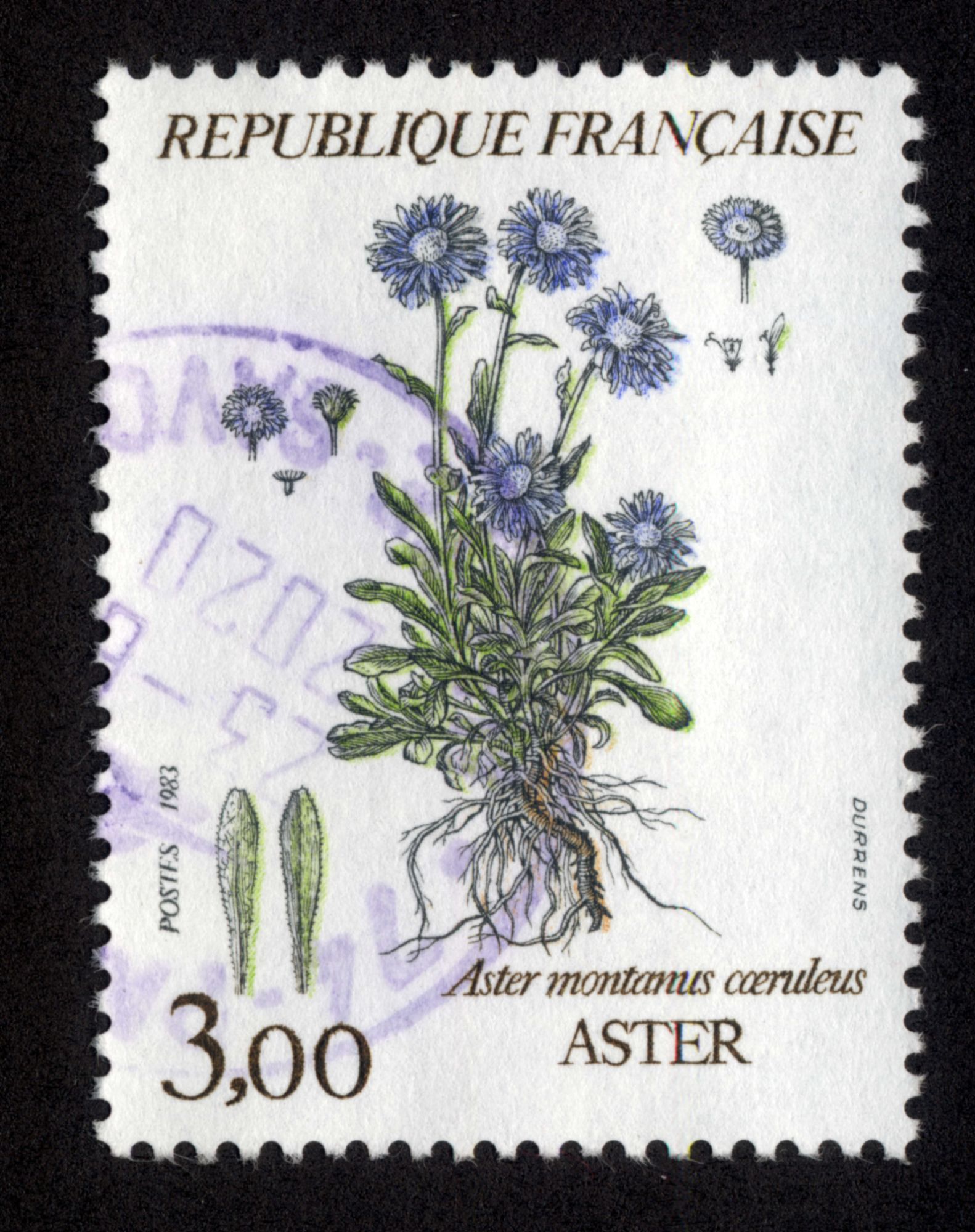 Timbre Aster Montanus Coeruleus.République Française.3,00.Aster.Postes.1983.