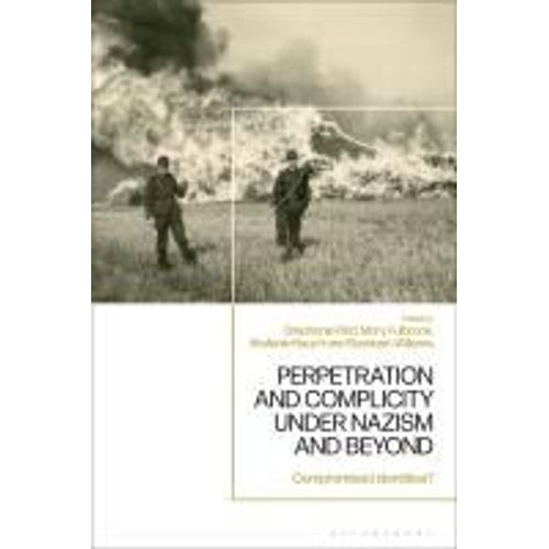 Perpetration And Complicity Under Nazism And Beyond