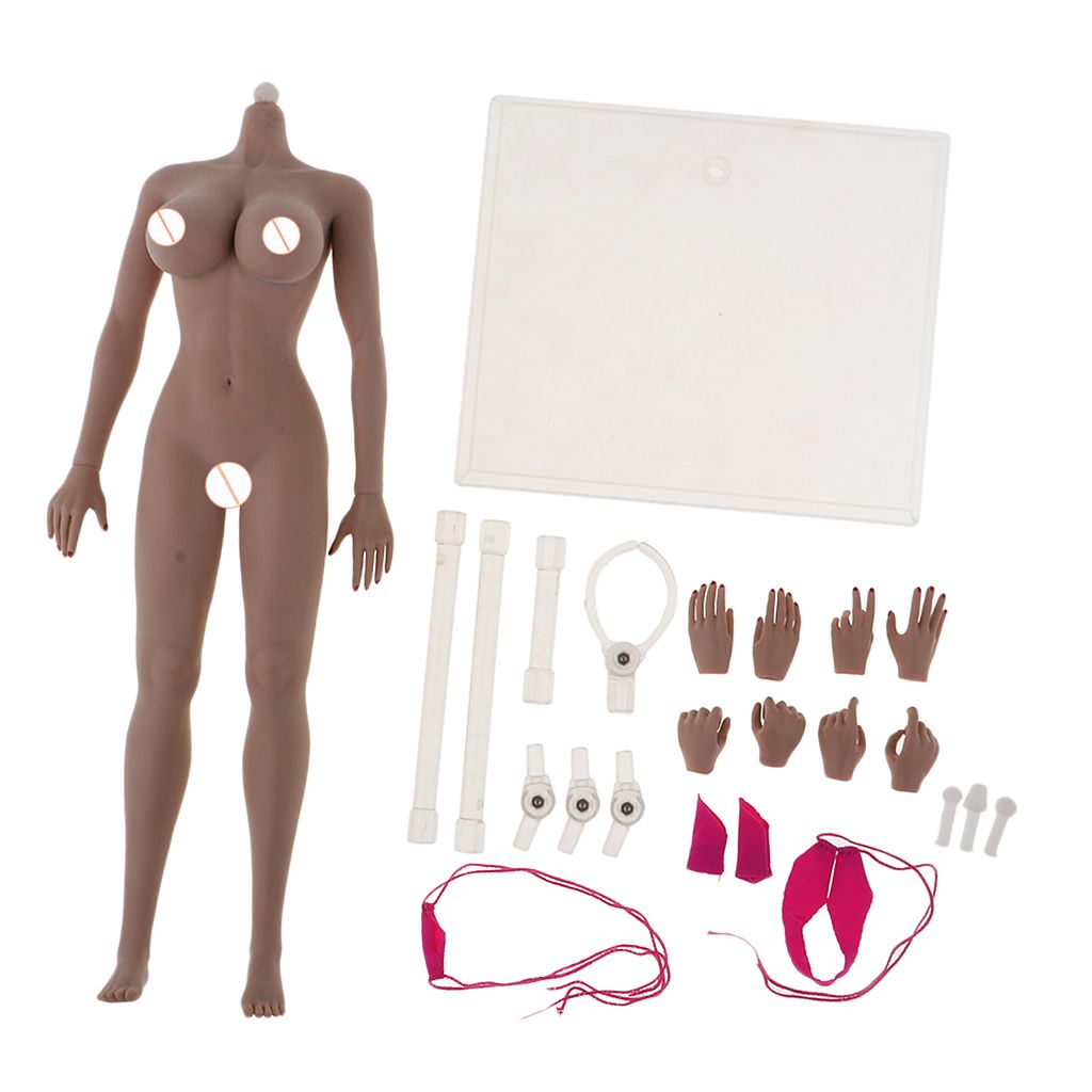 1/6 PVC Mannequin Squelette Action Figure Sans Couture Femelle avec 