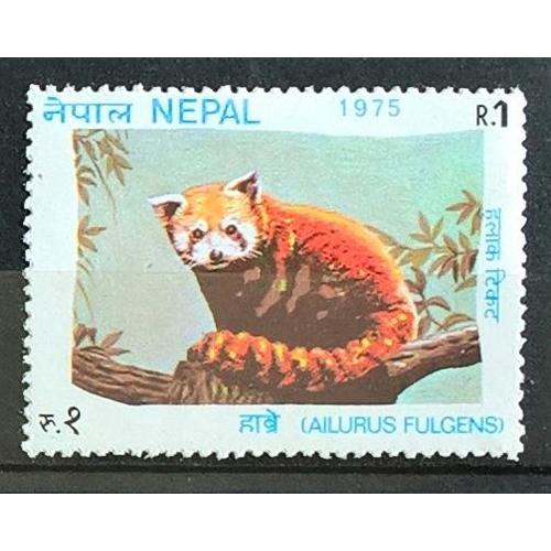 Népal, Timbre-Poste Y & T N° 294, 1975 - Panda Roux