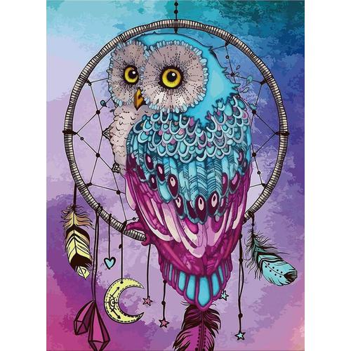 Diamond Painting, 5d Hibou Adult Diamond Painting Kits, Diy Cross Broderie Kits De Peinture Diamant 5d Kits De Forage Rond Complet Pour La Décoration Murale De La Maison 30 X 40 Cm