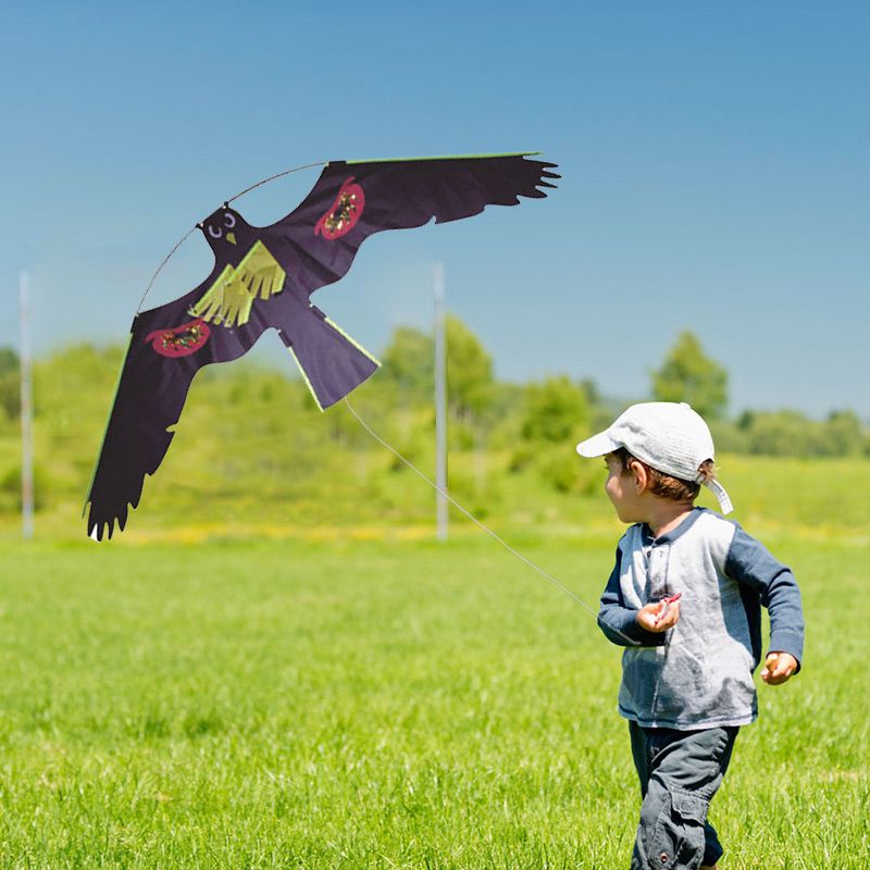 Xui Cerf-Volant Cerf-Volant Cerf-Volant Cerf-Volant, Pigeon,...