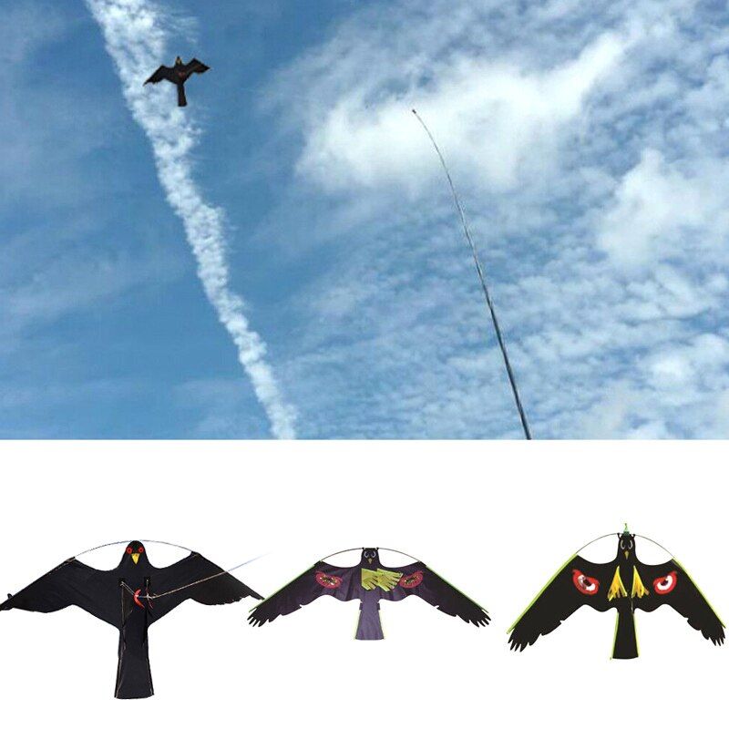 Xui Cerf-Volant Cerf-Volant Cerf-Volant Cerf-Volant, Pigeon,... - 2