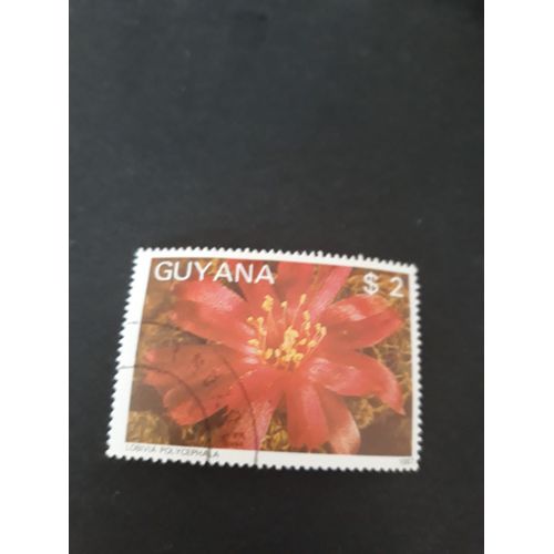 Fleur Timbre Guyane Tp19