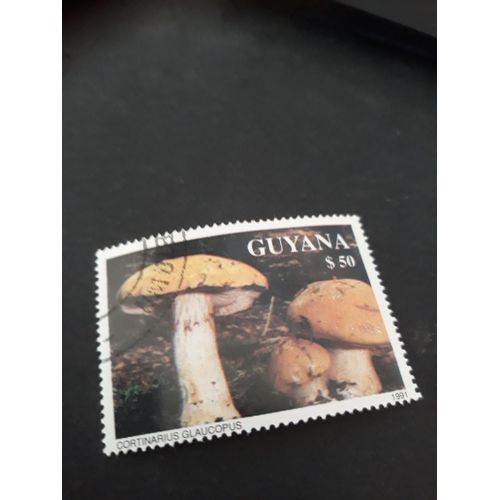 Champignons Timbre Guyane Tp19