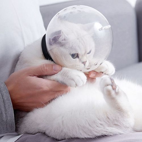 Masque De Toilette Anti-Morsure Respirant Pour Chat, Avec Capuche De Protection, Accessoire De Bain