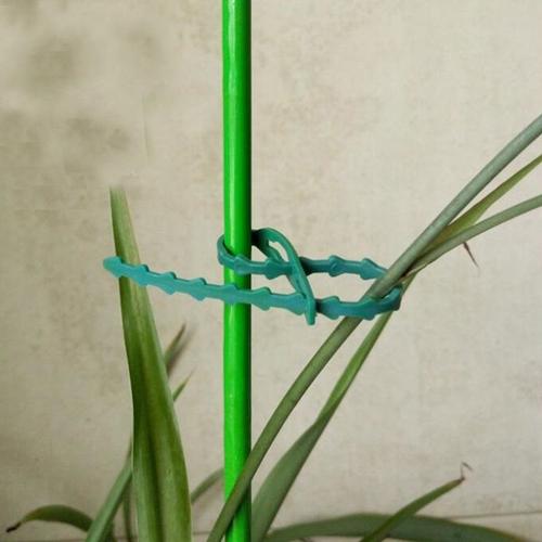 Attache de câble de jardinage réutilisable de 100mm, 175 pièces, support pour plantes grimpantes, fixation, bonsaï fleur, boucle fixe, Bandage en plastique